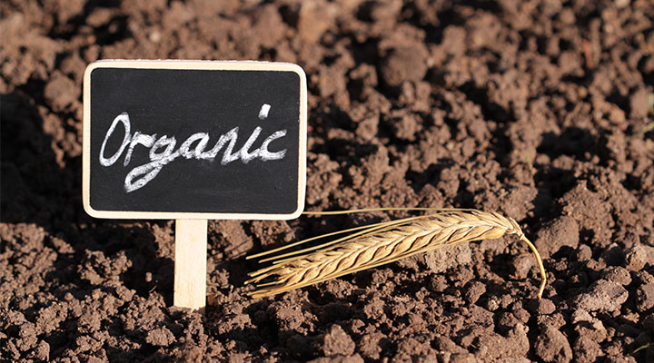 Organic Fertilizer & Core Aeration