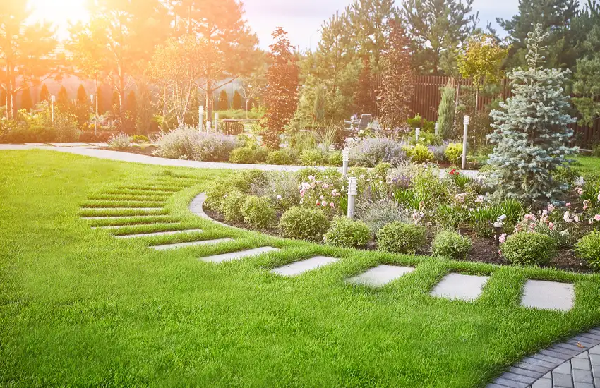 Organic Fertilizer