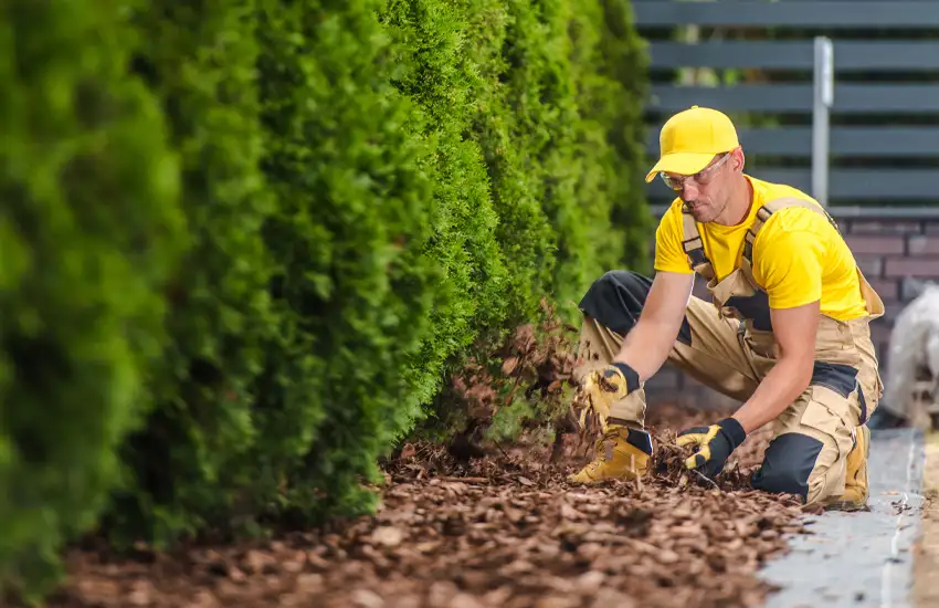 Disease Control Services
